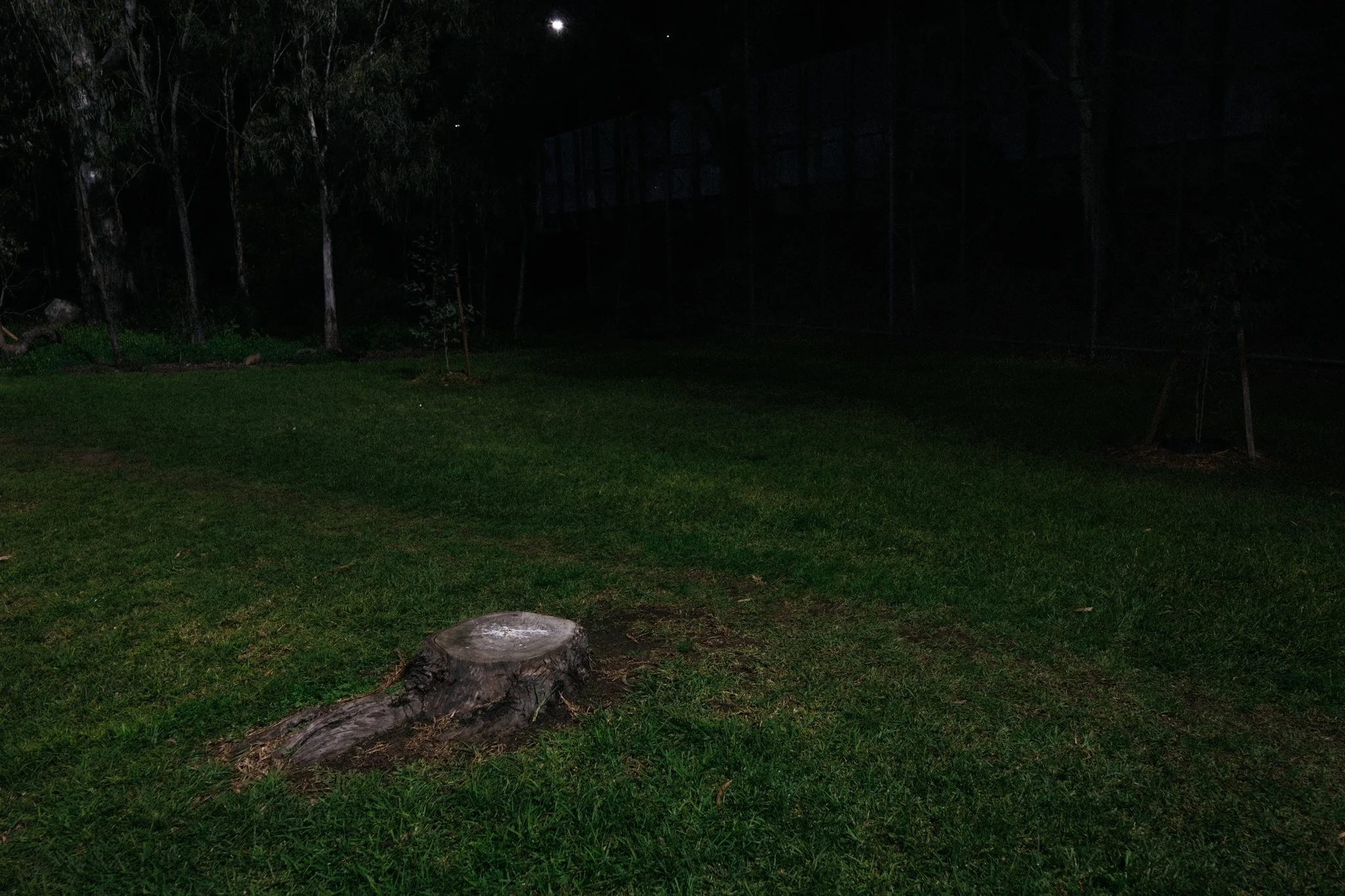 DSCF1430.jpg