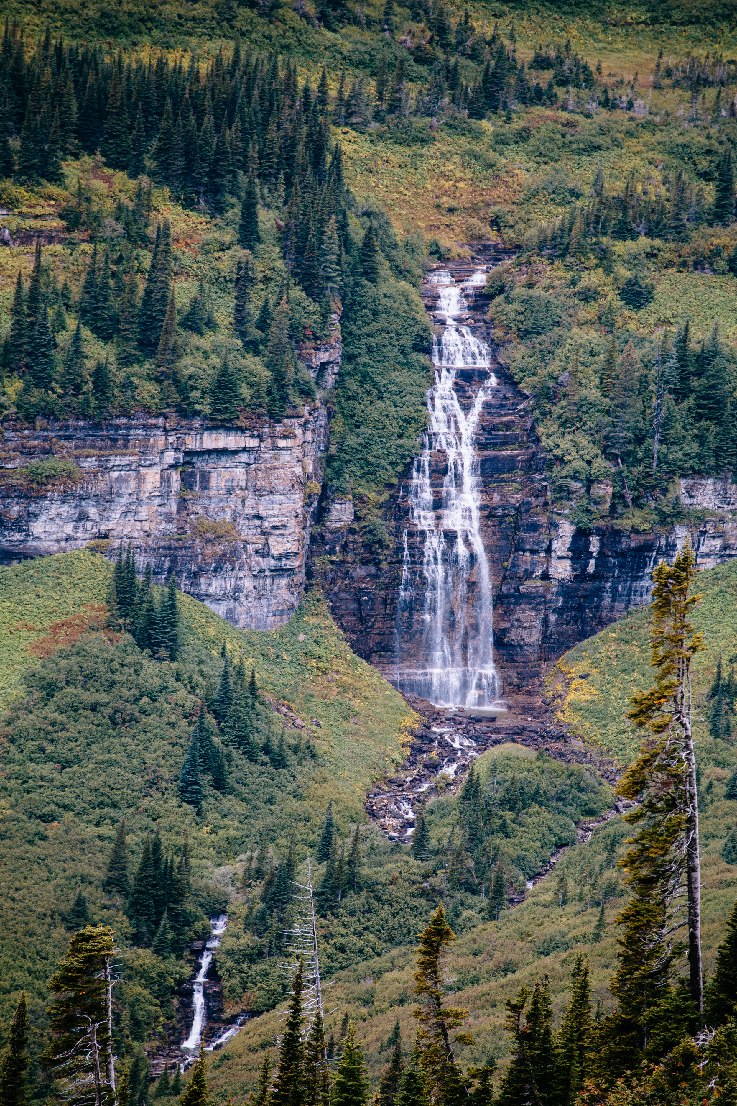  One of the many waterfalls along Going-to-the-Sun Road 