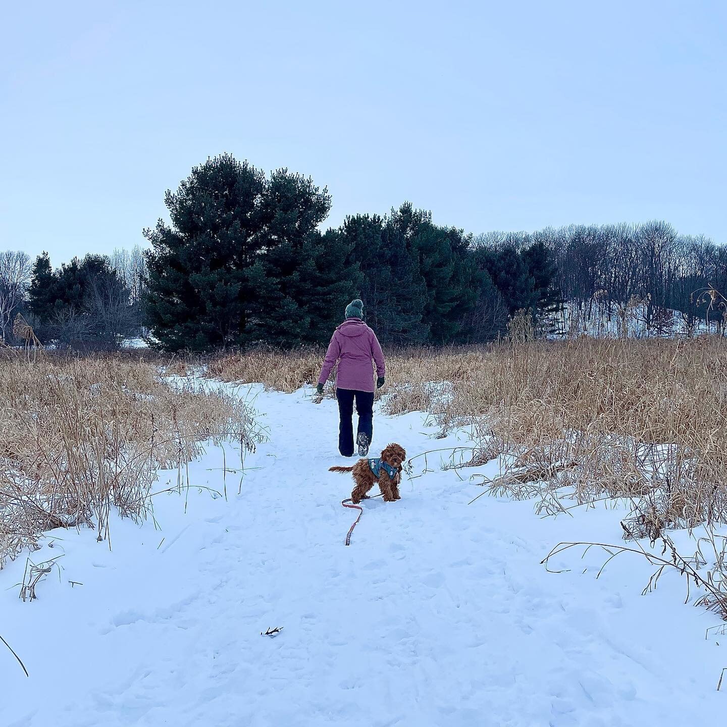 snowy hikes in the great up north ❄️🥾🌲 

#upnorth #northwoods #getoutside #wisconsinoutdoors #publicland #wisconsin #midwestmoment #gitchi #igniteyouradventure #winterwonderland #optoutside #womenwhohike #hikelife