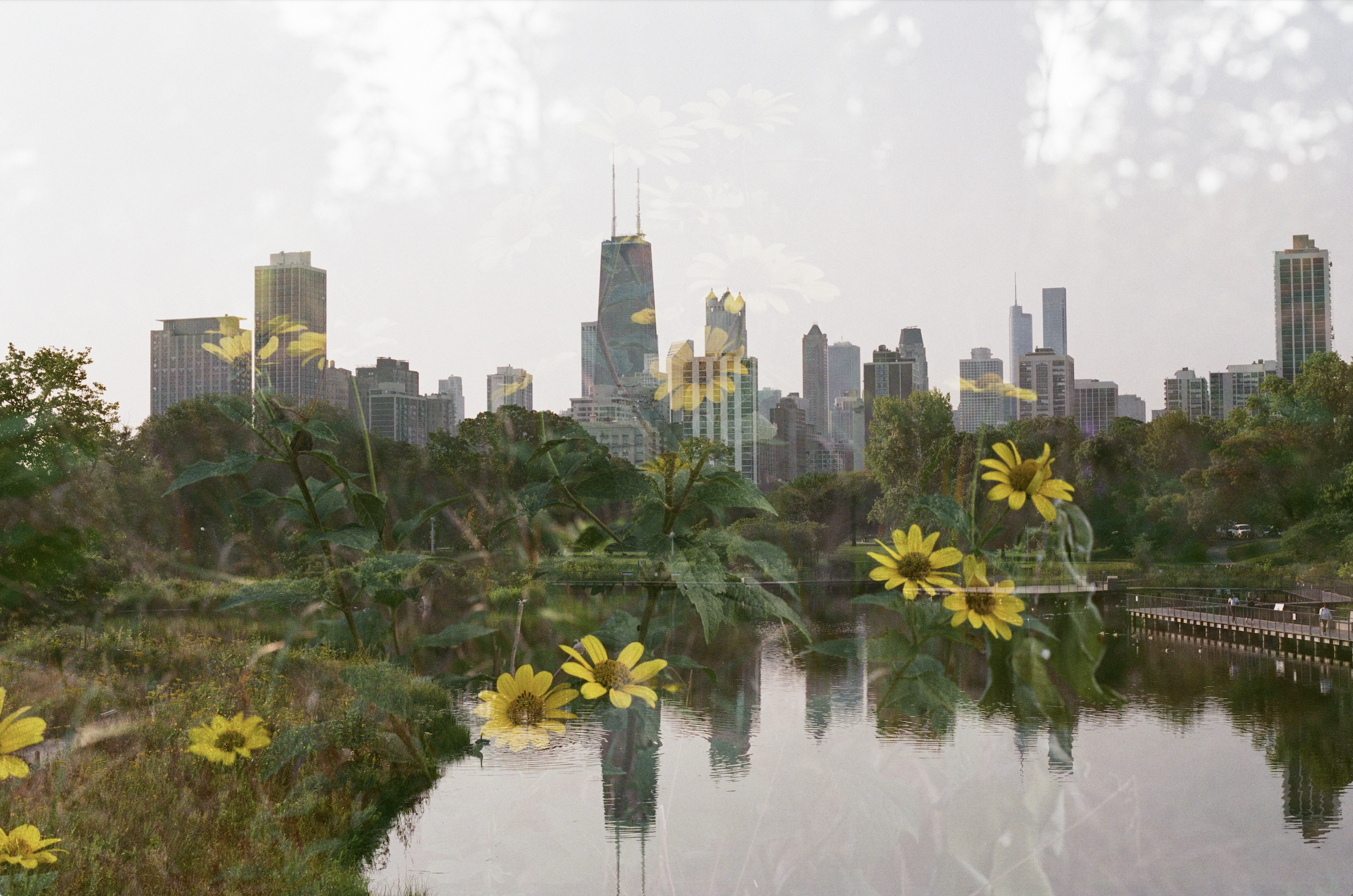 Screenshot 2023-07-25 at 11.20.12 AM.png