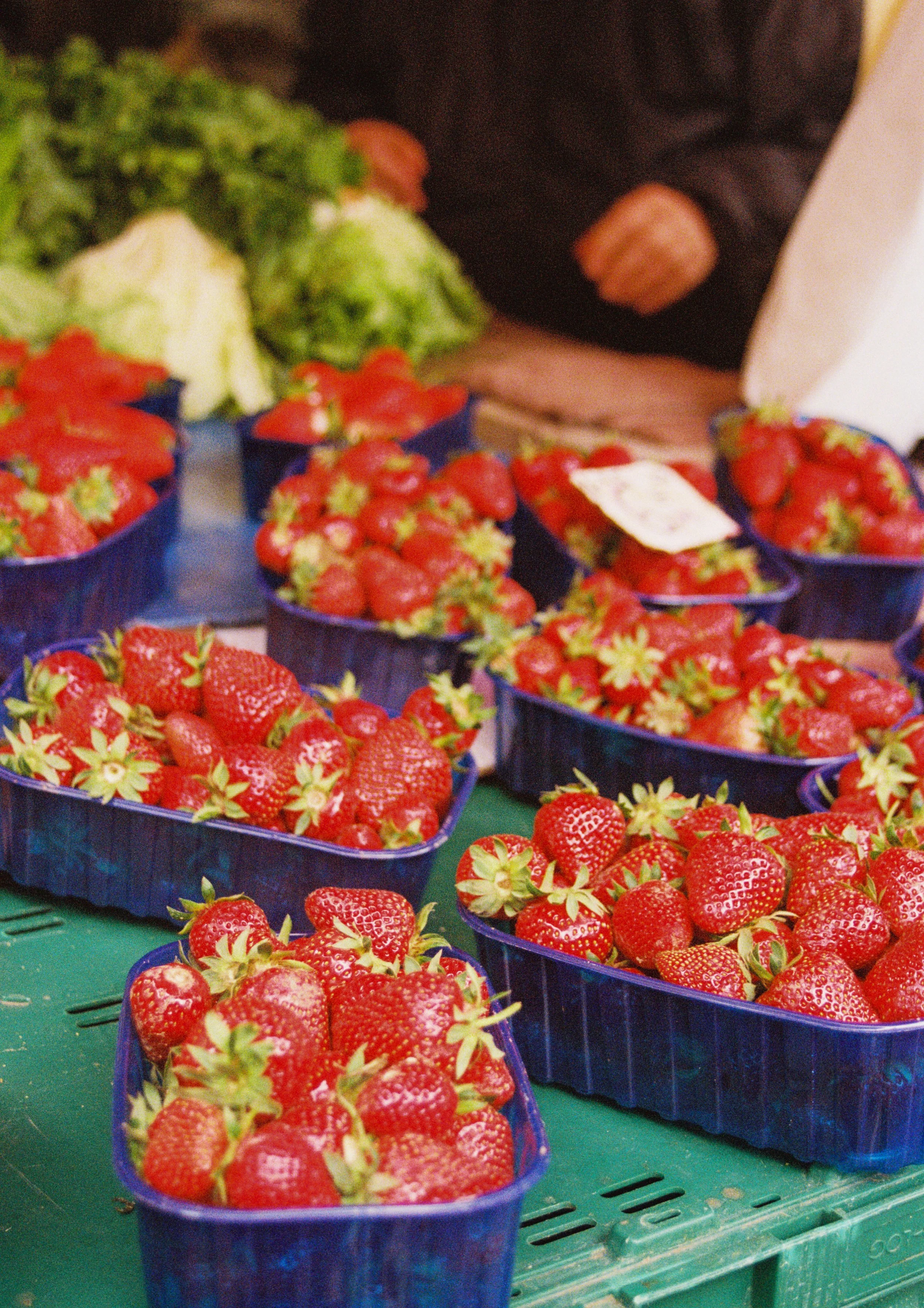 Wondergem_Document Name_163.JPG