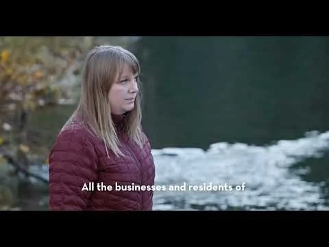 Northwest Beer Counts on Northwest Forests