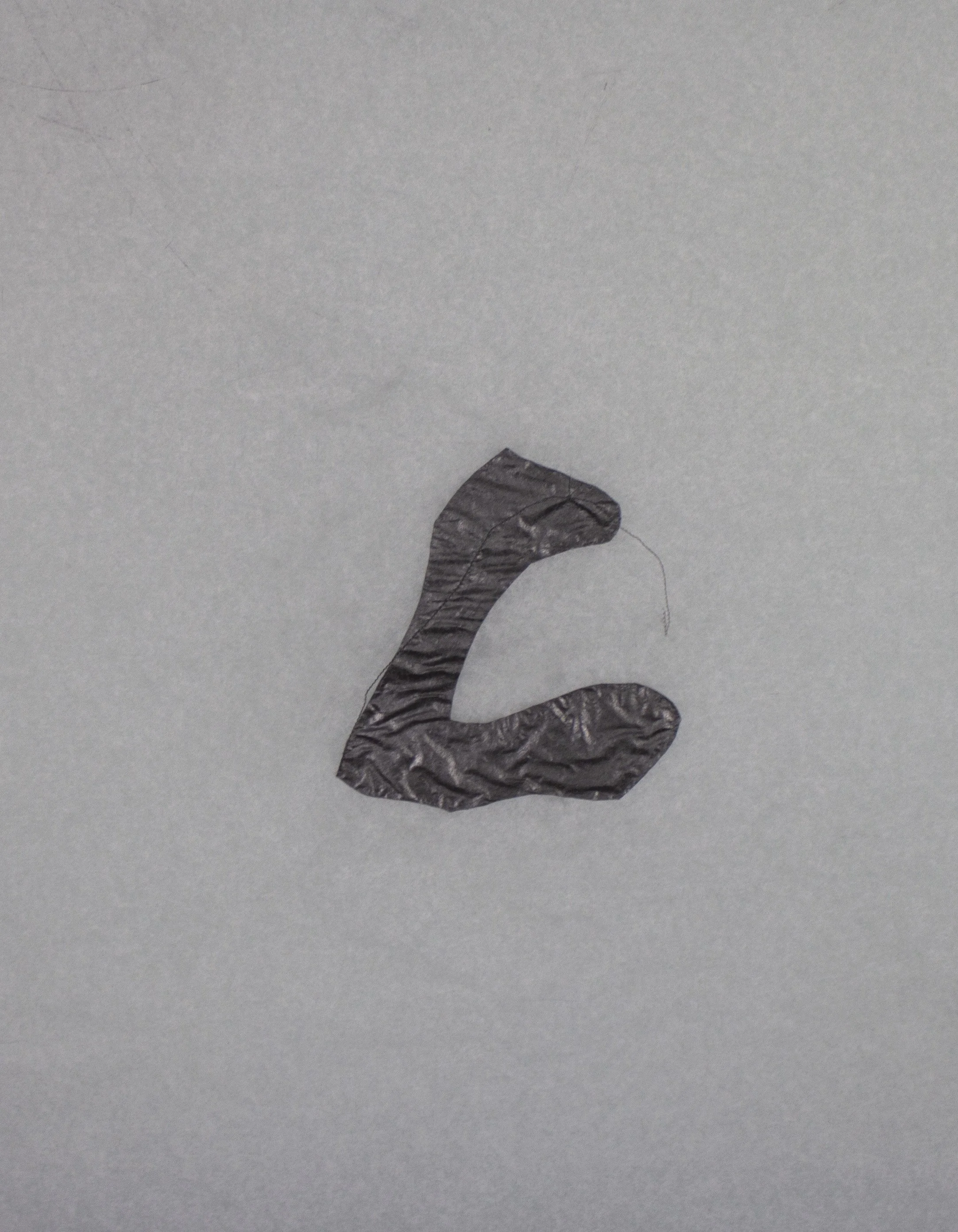 Quag_G_16x21.jpg