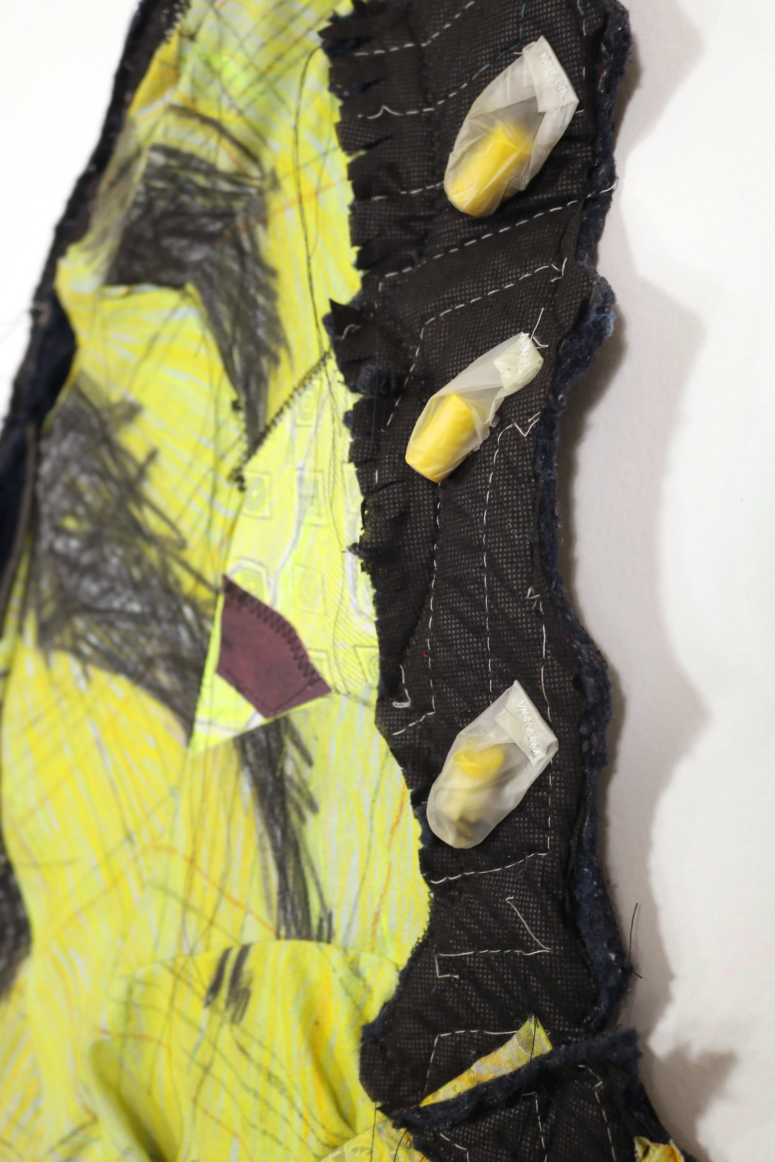 EasternTigerSwallowtail_sidewingdetail.jpg
