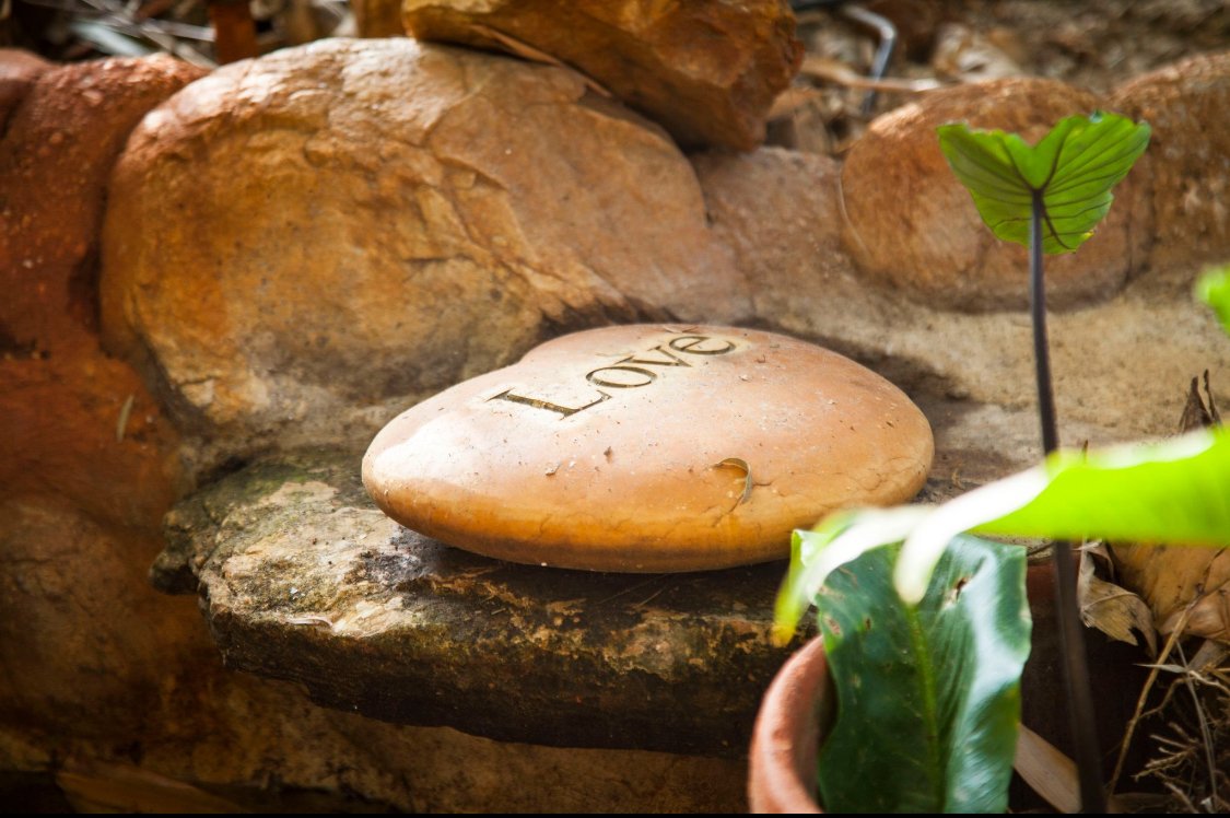 women's holistic health