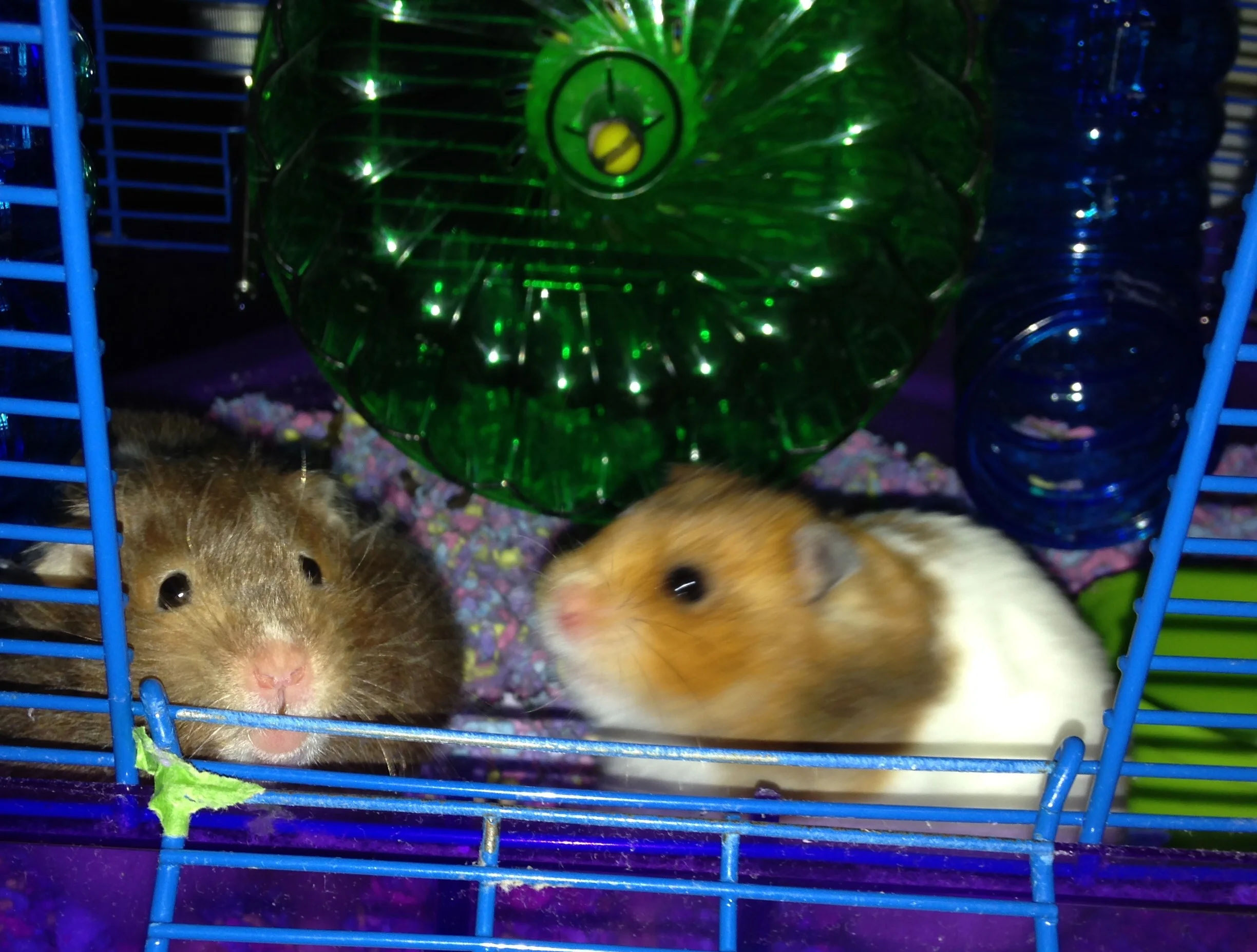 Little Stinkers!