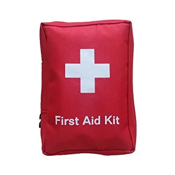 Pack an emergency kit, such as Band-Aids, sunscreen, Tylenol and other medication that kids might need.