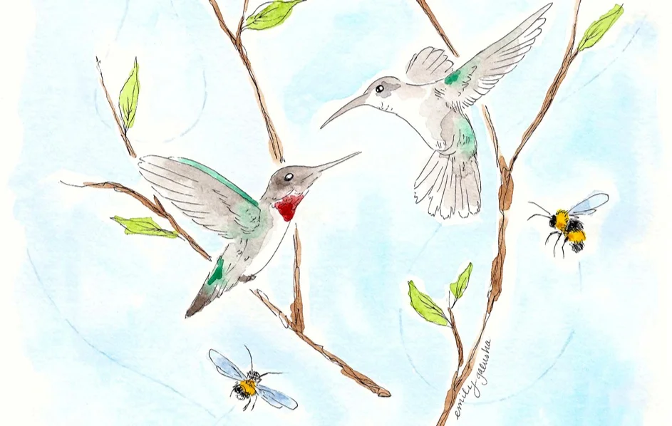 SavvyMag-BirdsBeesCoverb.jpg