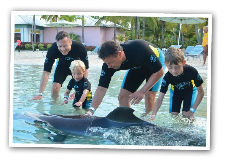 (From left) Shane, Jack Campbell, Curtis and Corey playing with the dolphin at Atlantis in the Bahamas.