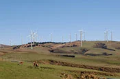 Mighty River Power - Turitea Wind Farm