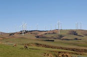 Mighty River Power - Turitea Wind Farm