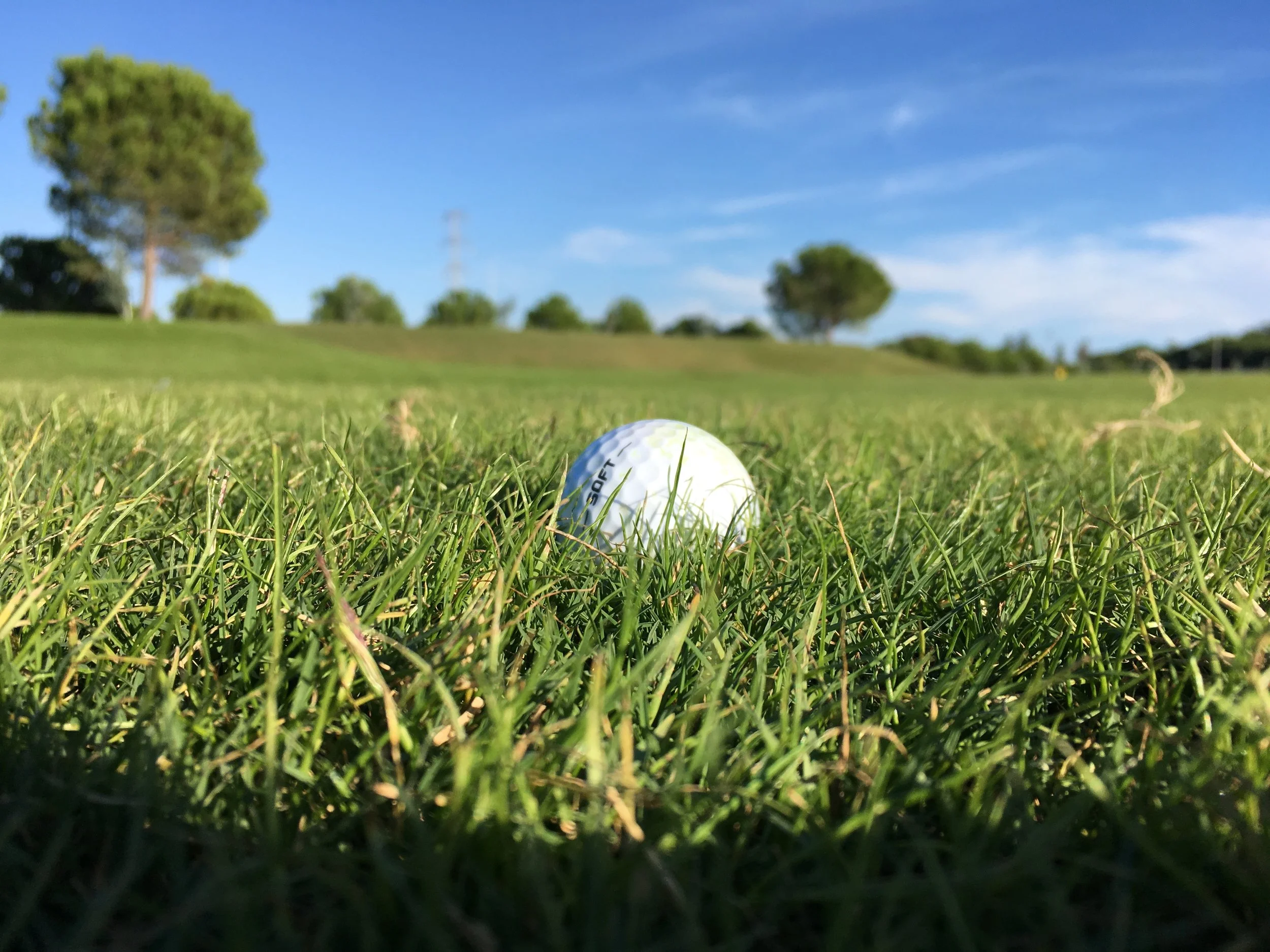 Case review: Golf (2012) Ltd v Thames-Coromandel District Council [2019] NZEnvC 112