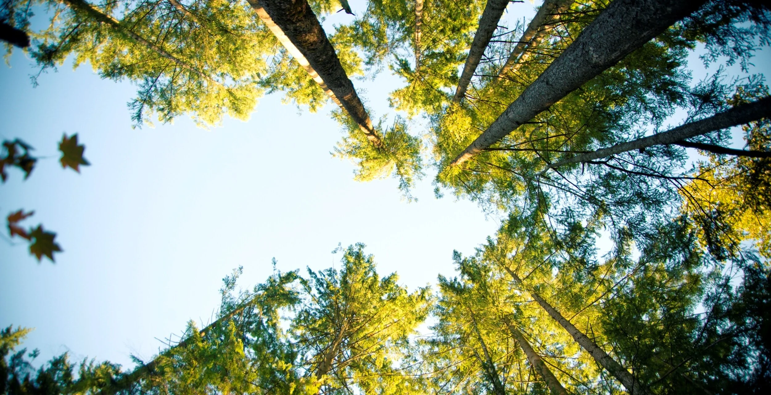 RM Amendment Bill – Committee reports back: major implications for climate change planning/consenting