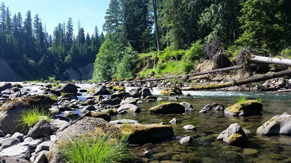 Into the wilderness. . .