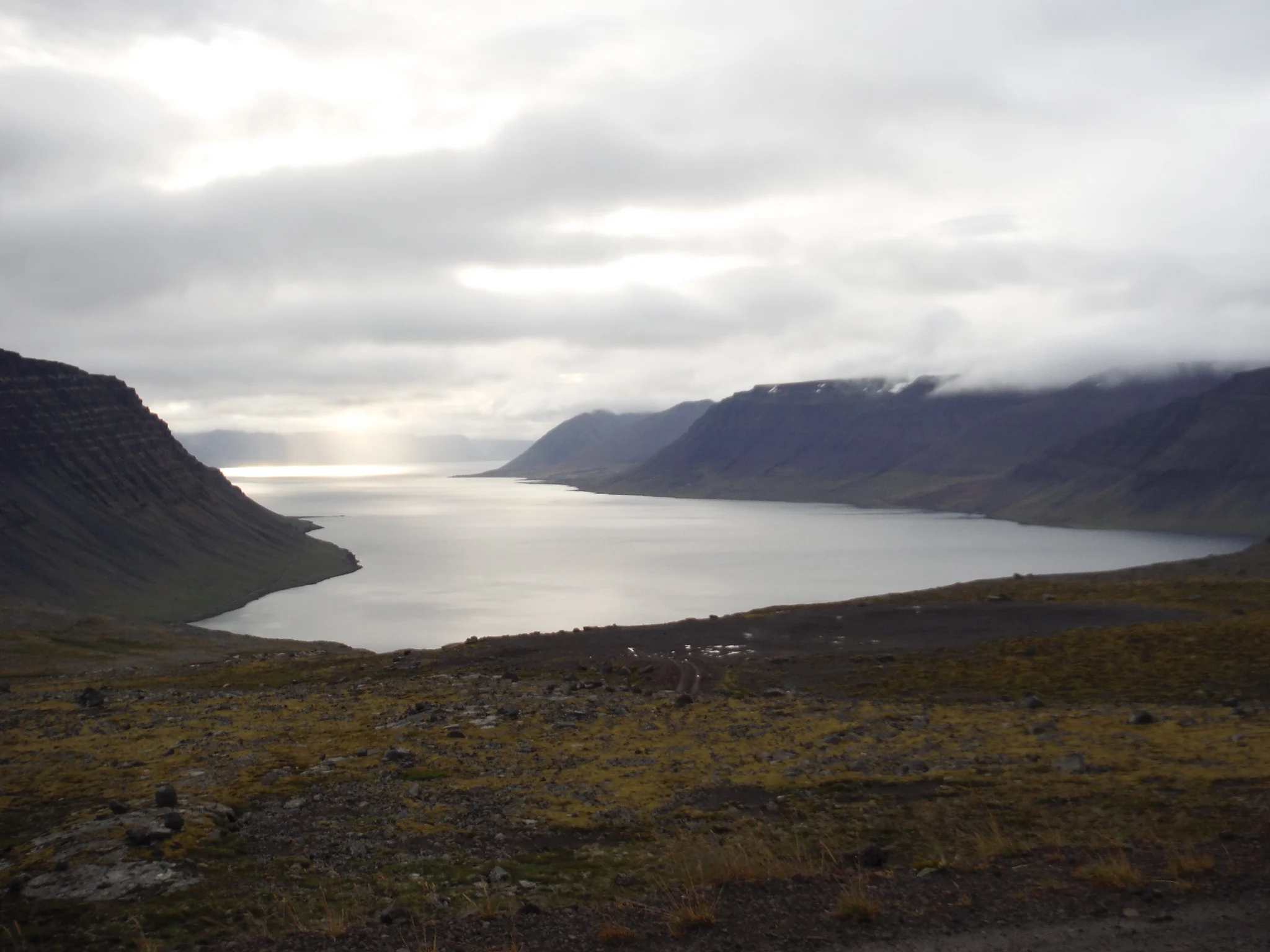 My whirlwind Iceland trip, Day 1: Westfjords