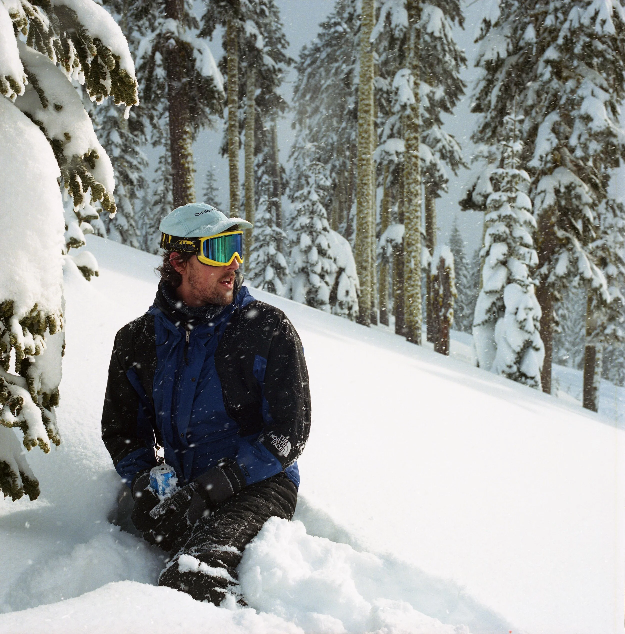Shasta_046.jpg