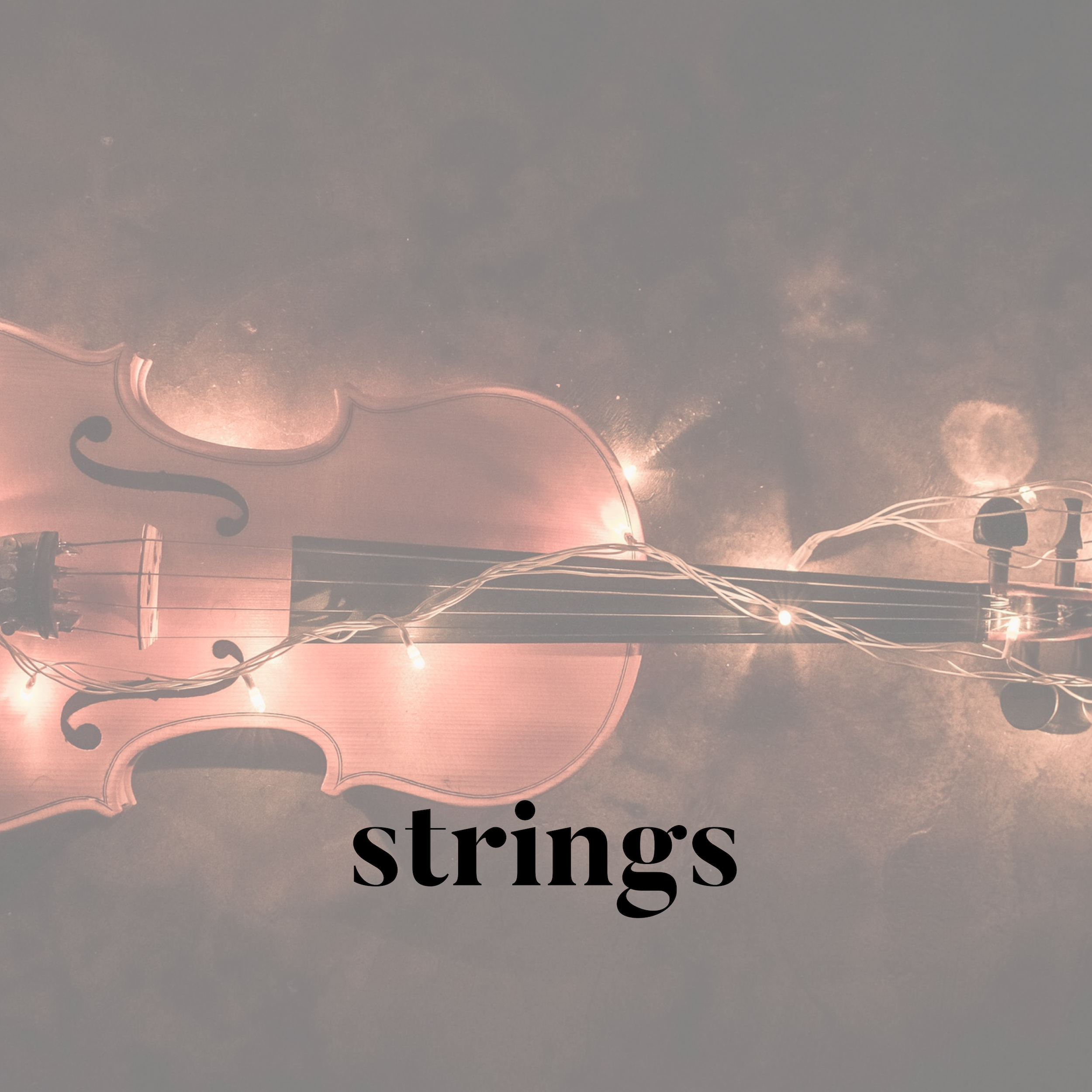 Include live string musicians for events—sophisticated acoustic strings to elevate ambience and guest experience