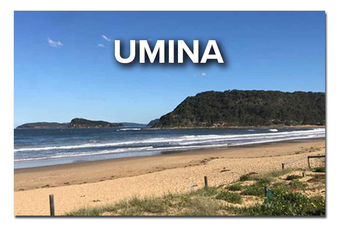 54266956-0-UMINA-elink-destinat.png