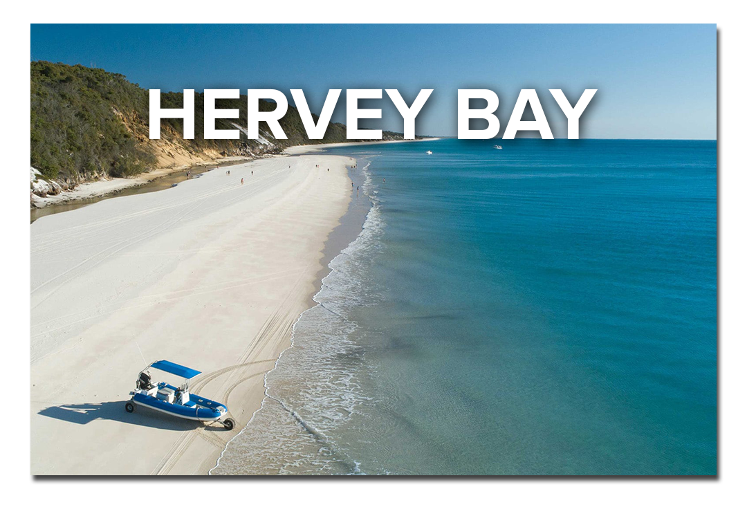 54264931-0-Hervey-bay-elink-des.png