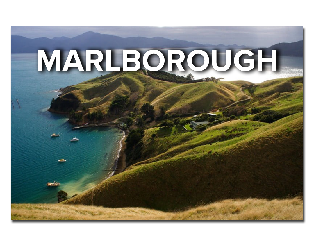 54290131-0-Marlborough-elink-NZ.png