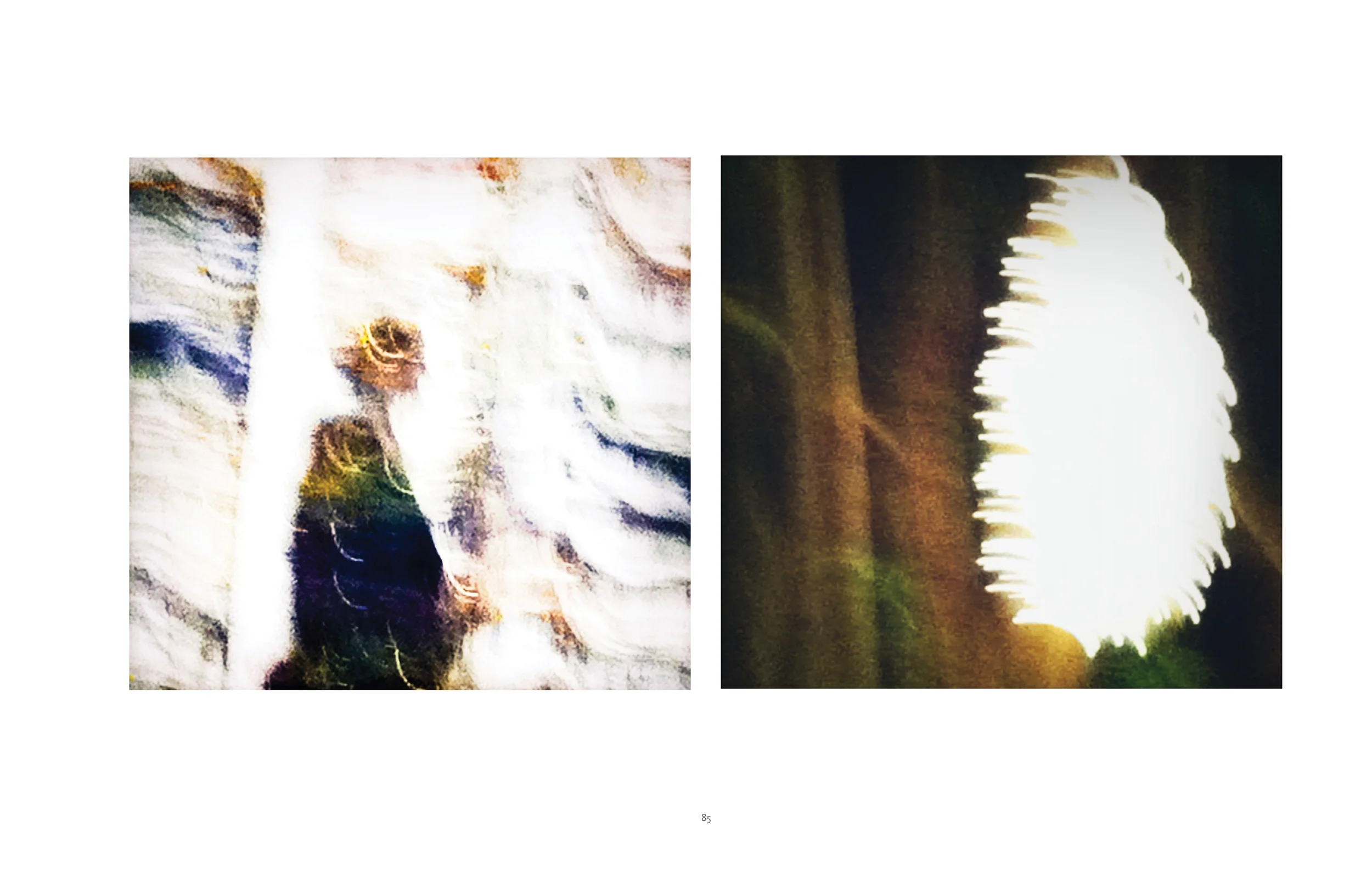 Selected Images from "Postcards Home" - Published by Daylight Books 2013