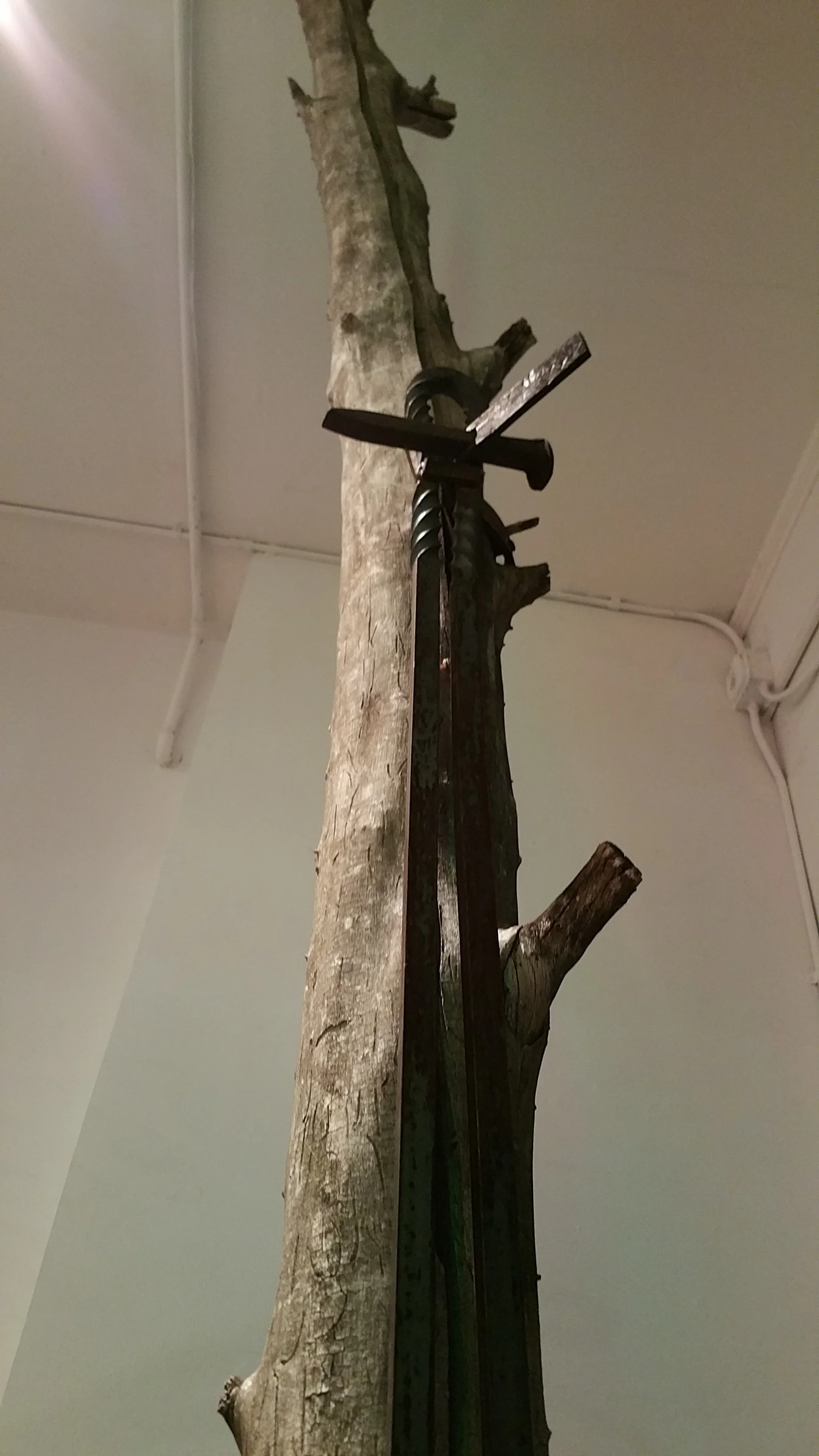 20151030_194459.jpg