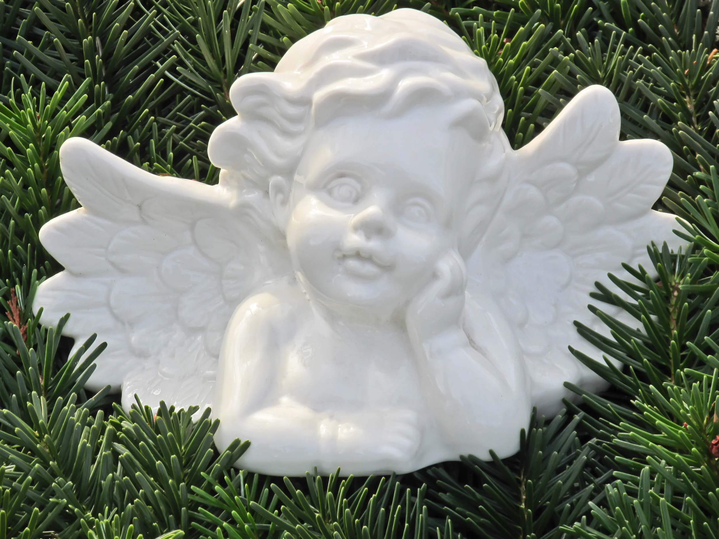 angel.jpg