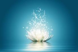 sparkling lotus.jpg