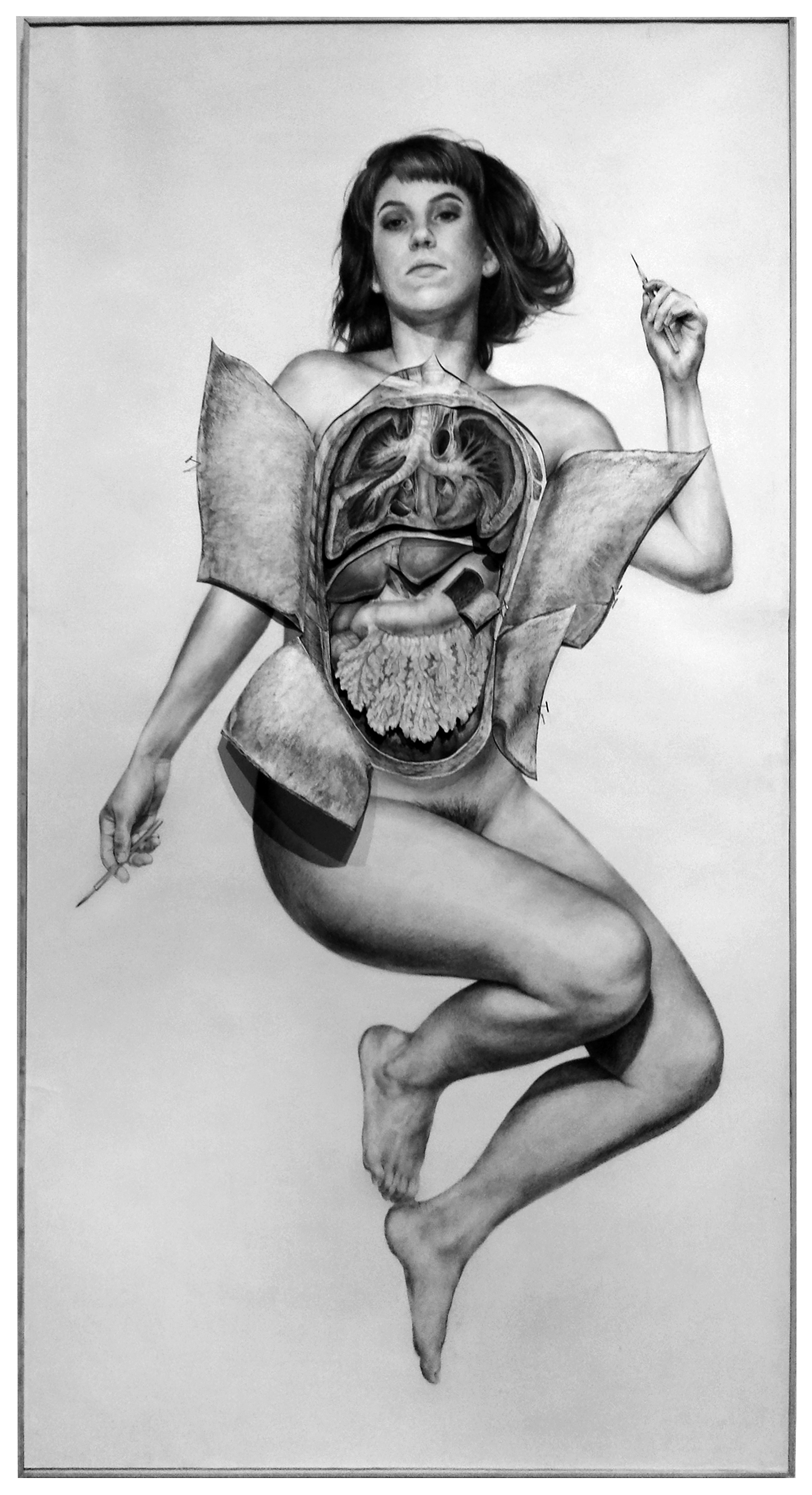 The Artist Dissected Brittany Bennettcharcoal on paper2015 Life size, multi-layered charcoal drawing inspired by Johann Remmelin’s 17th c. anatomical flap mannequin, The Anatomical Venus , and Michel Foucault book, The Birth of the Clinic . www.brittanycbennett.com