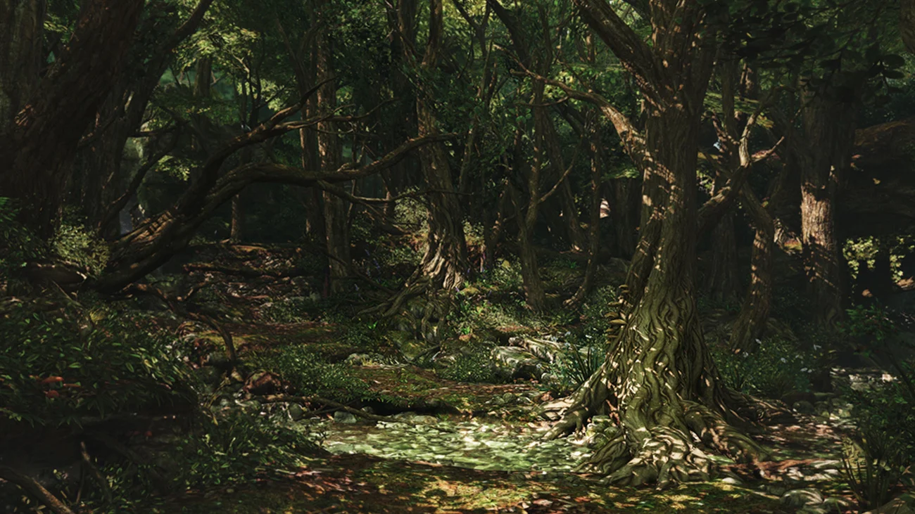 forest-large.JPG