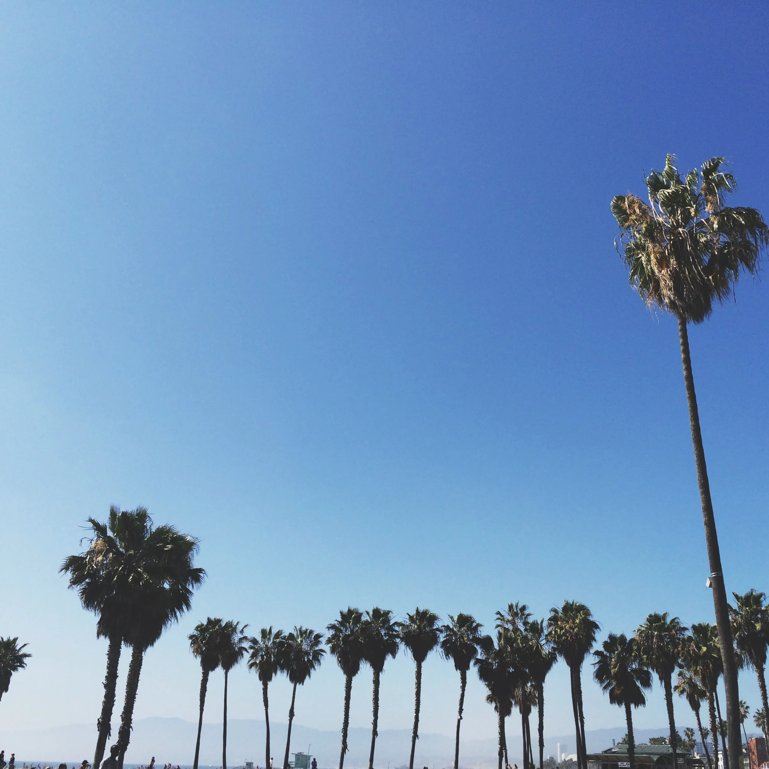 MY FIRST TIME IN CALI 