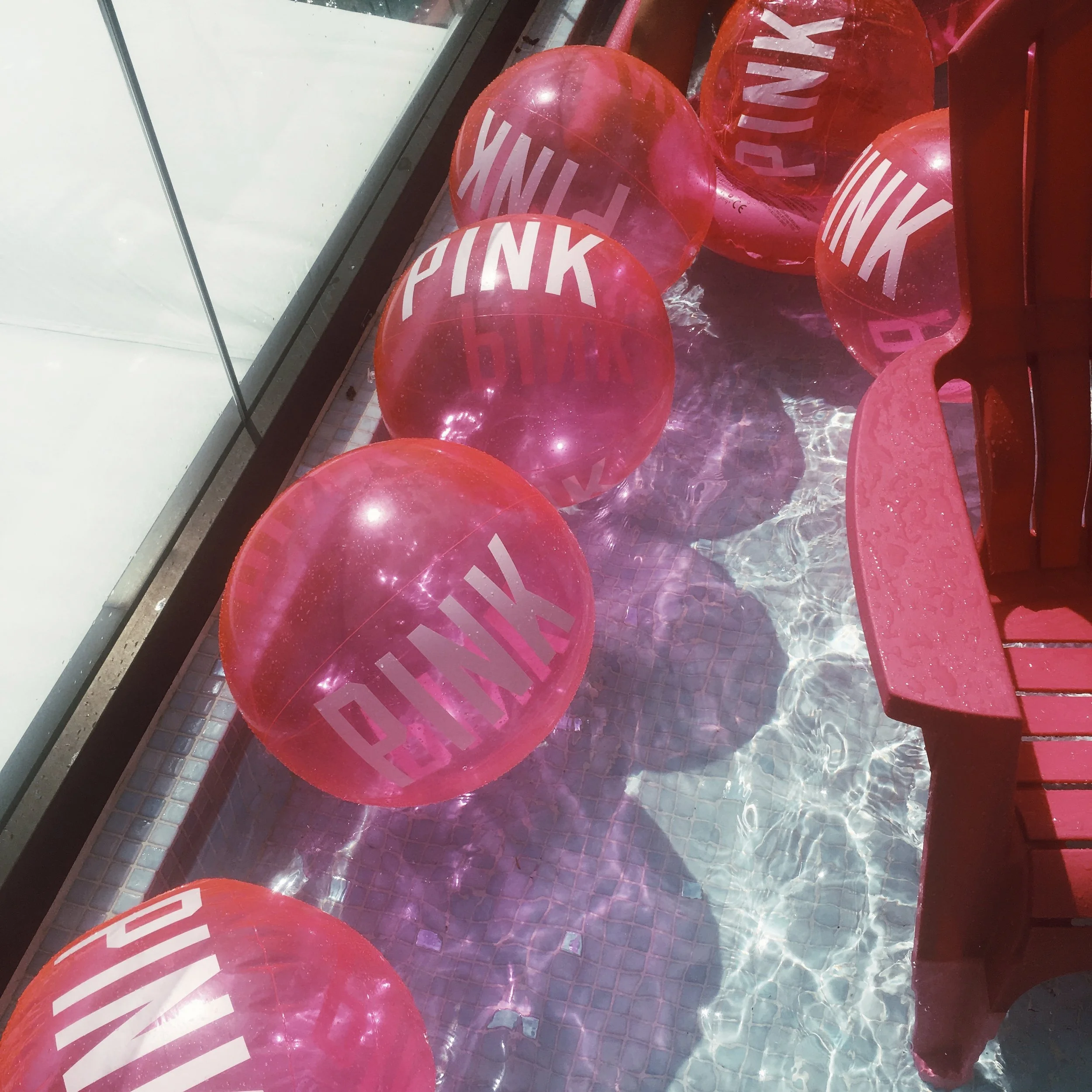 pink paradise 