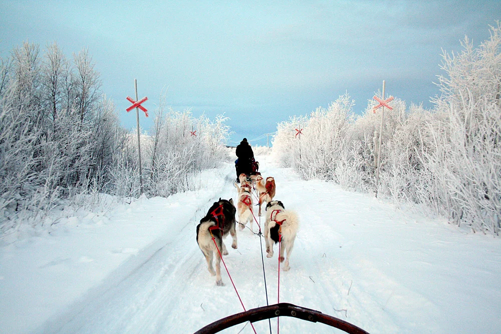  Northern Sweden 