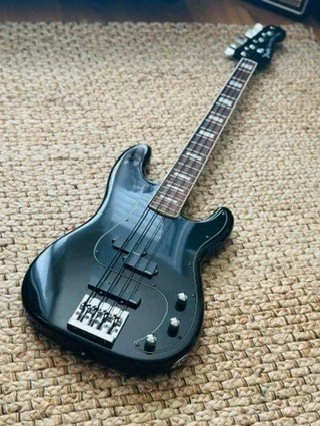 Some gorgeous P-Basses I've played/owned!

#pbass #fenderbass #bassist