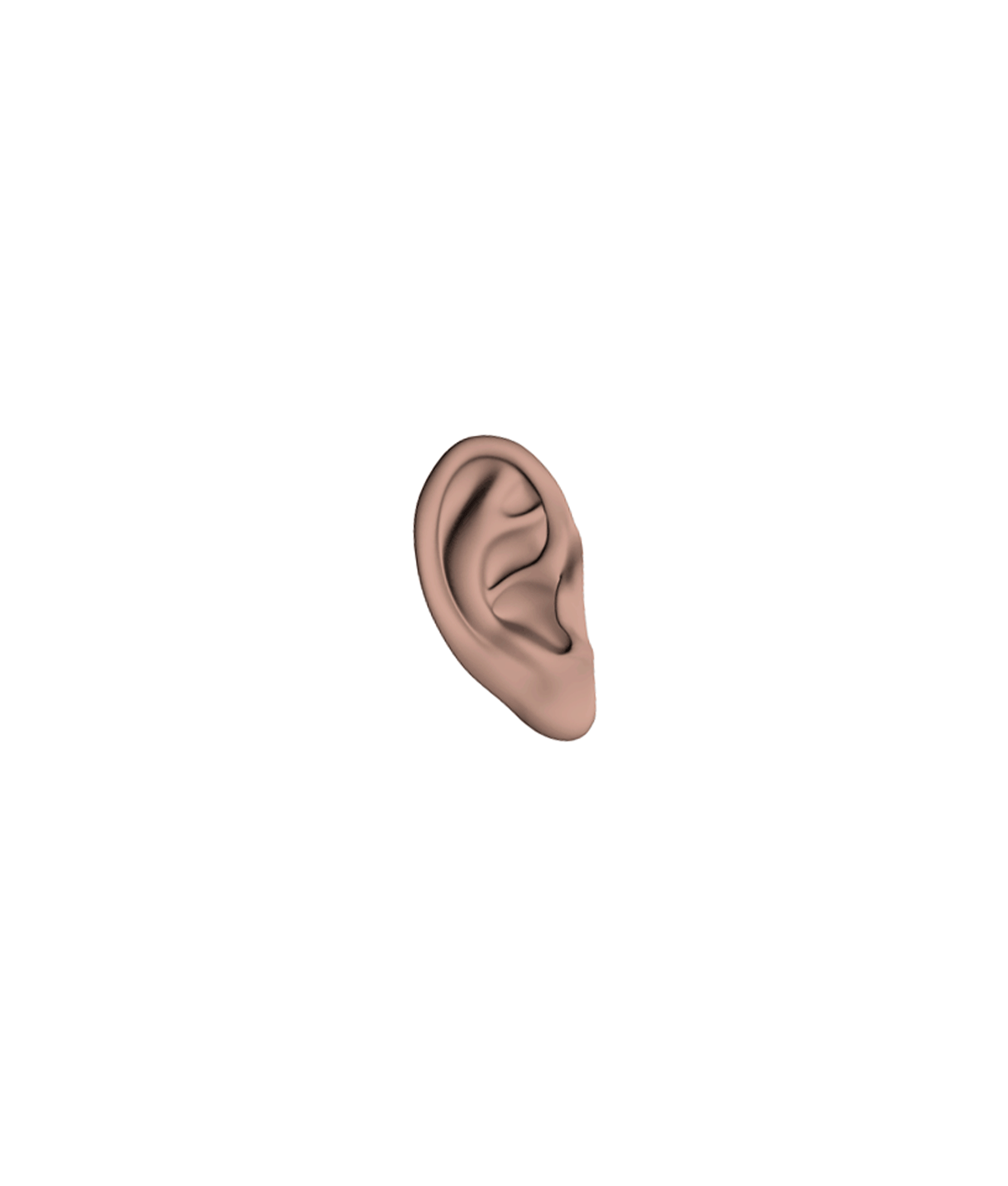 Ear2000.gif