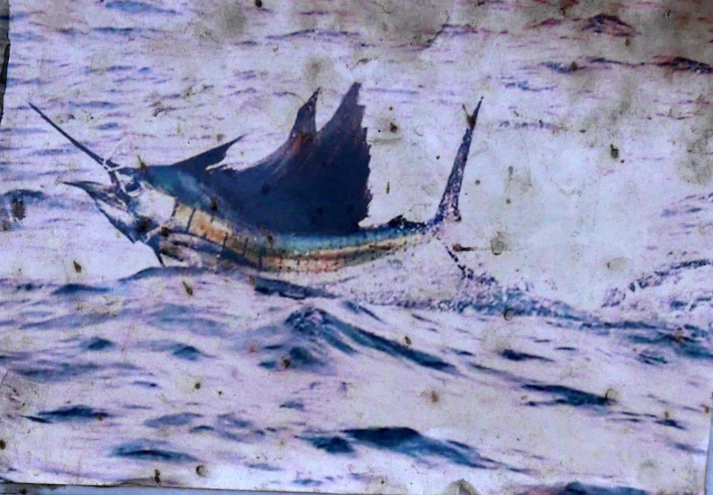 fish2qb.JPG