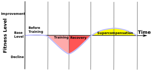 Supercompensation in a nutshell