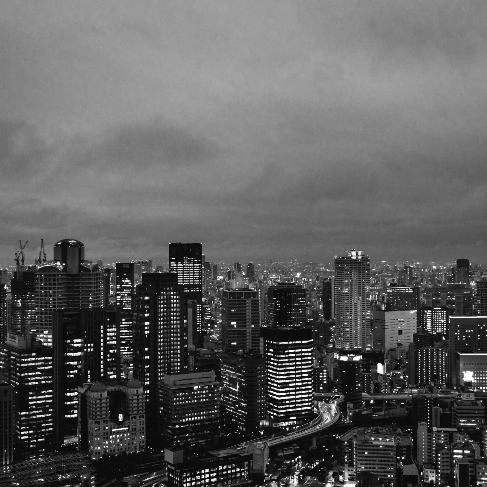 DSC09939.jpg