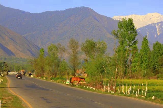 wide roads kashmir18.jpg