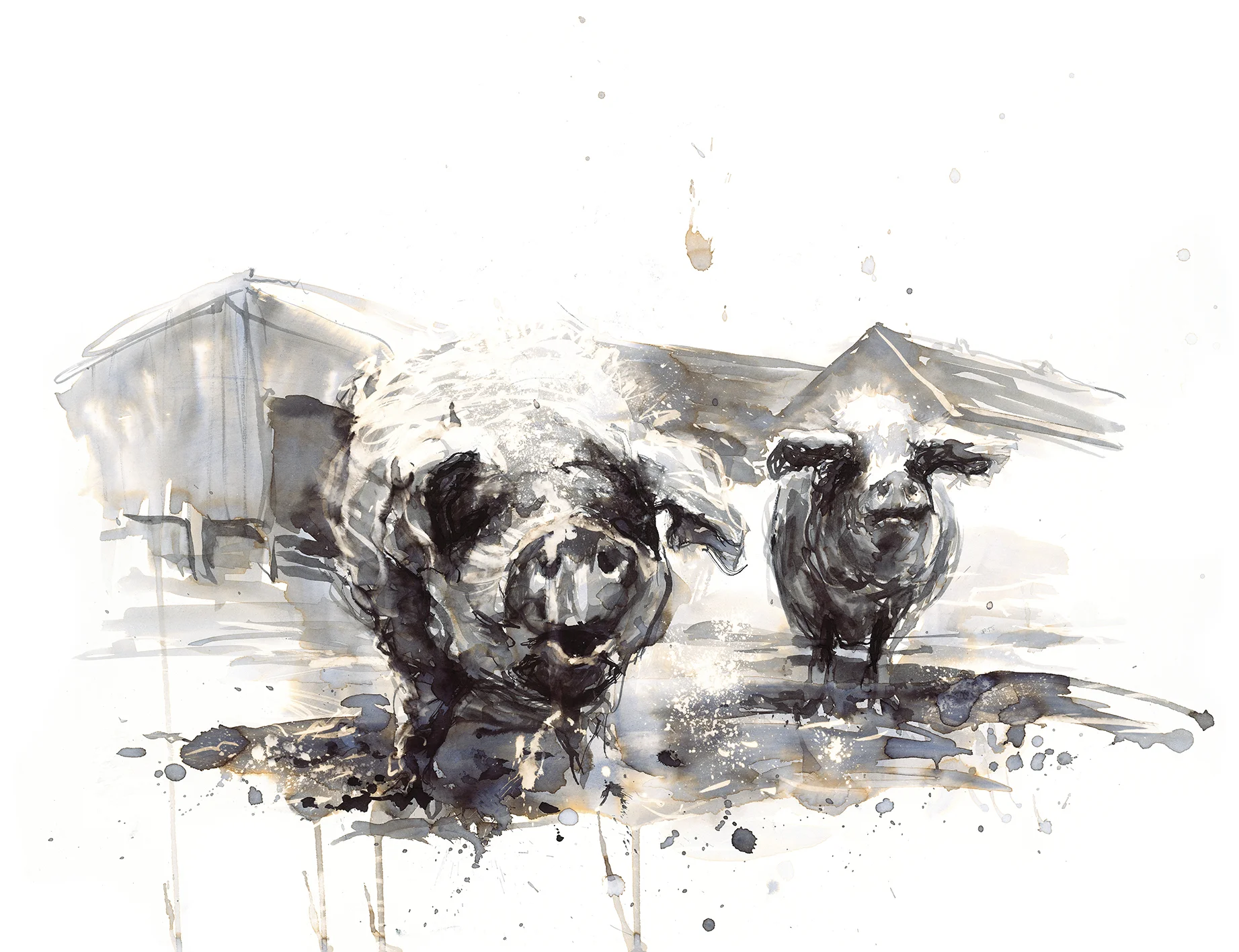 Old Major and Squealer