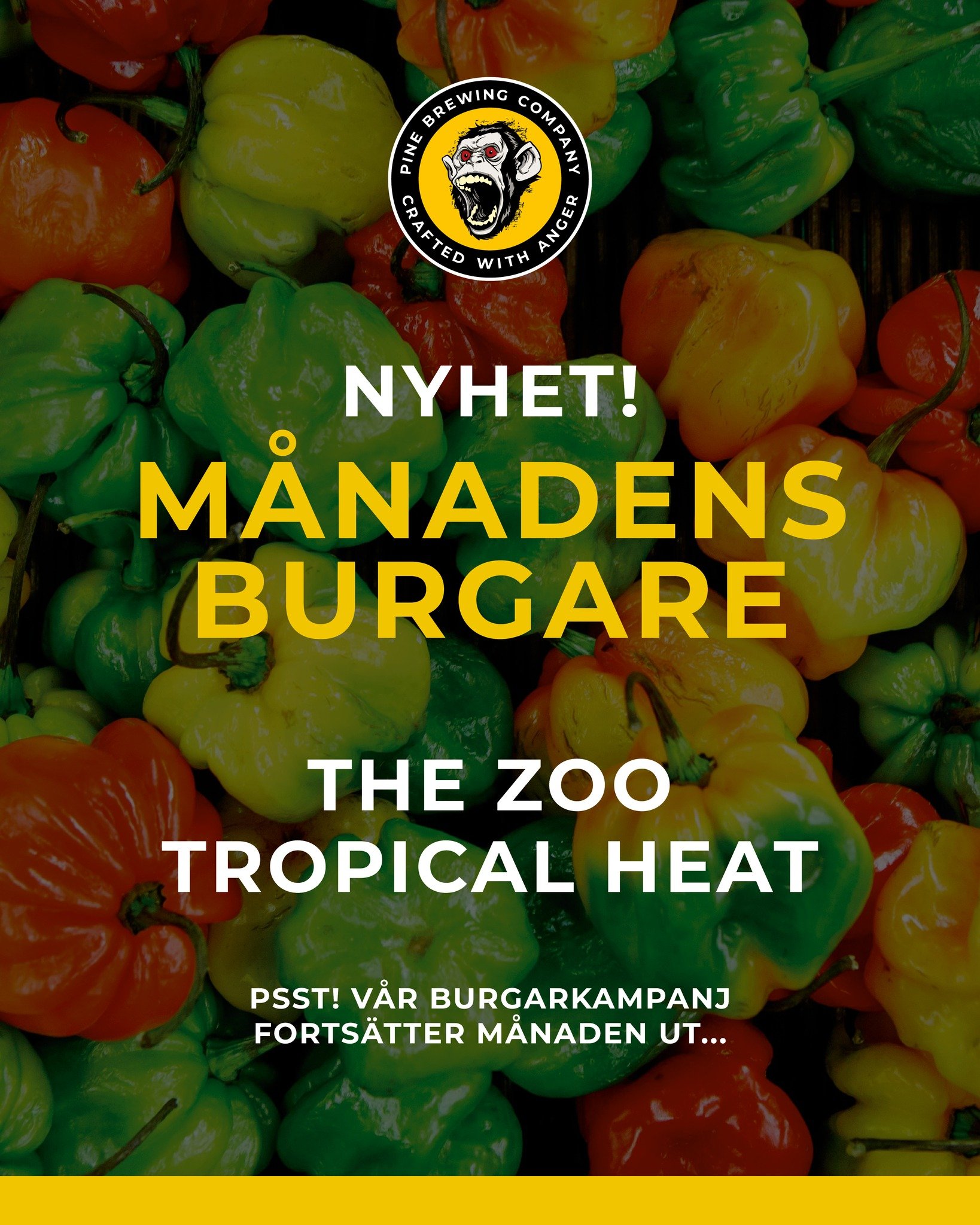 🌶️ M&aring;nadens burgare - The Zoo Tropical Heat!

🍔 Vad s&auml;gs om tv&aring; smashburgare med hemmagjord mango- och habanerodressing, mangosalsa, ost och sallad i en Potato Brioche Bun? Serveras med pommes och tre dipps&aring;ser (aioli, chipot
