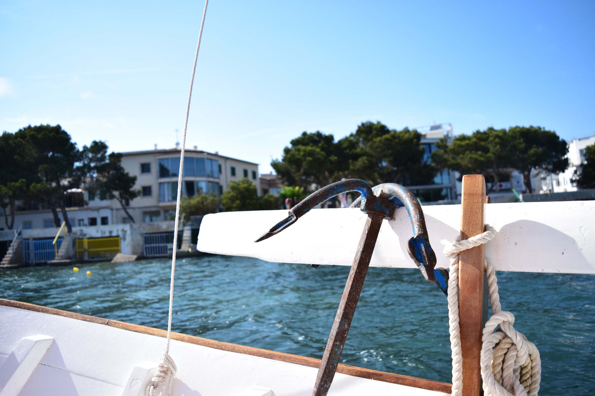 DSC_0787.jpg