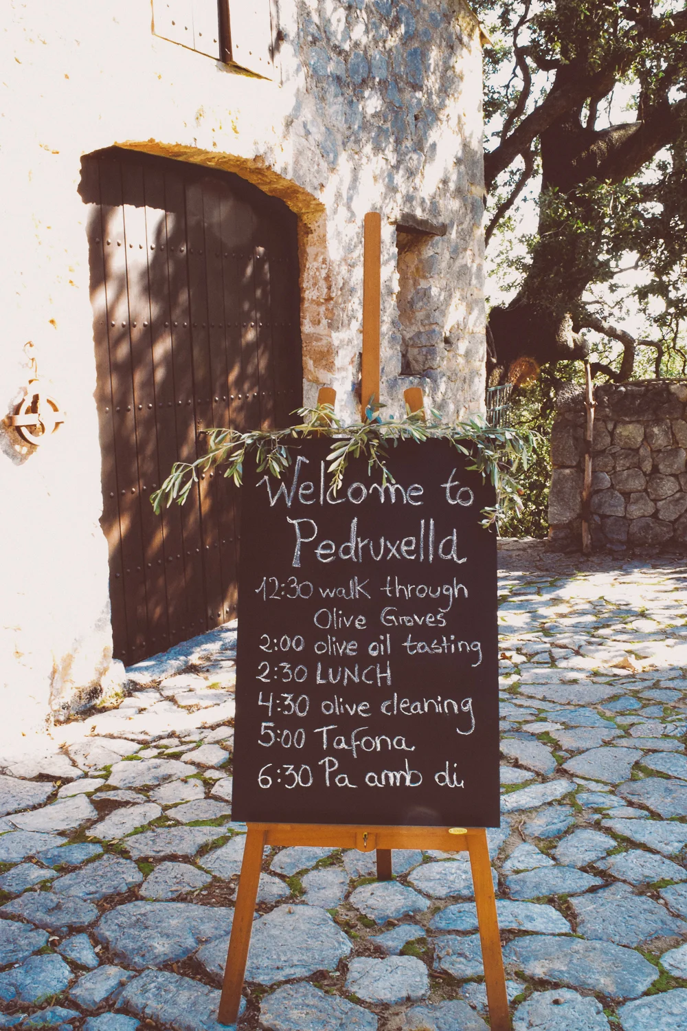 What's Going ON: Olive Harvest, Pedruxella Gran, Pollença.