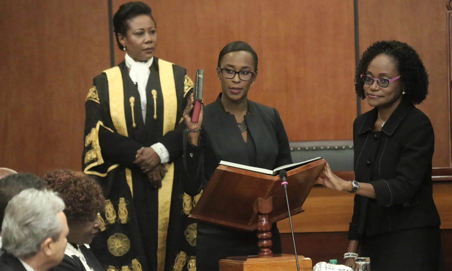 New Energy Minister has full slate of challenges