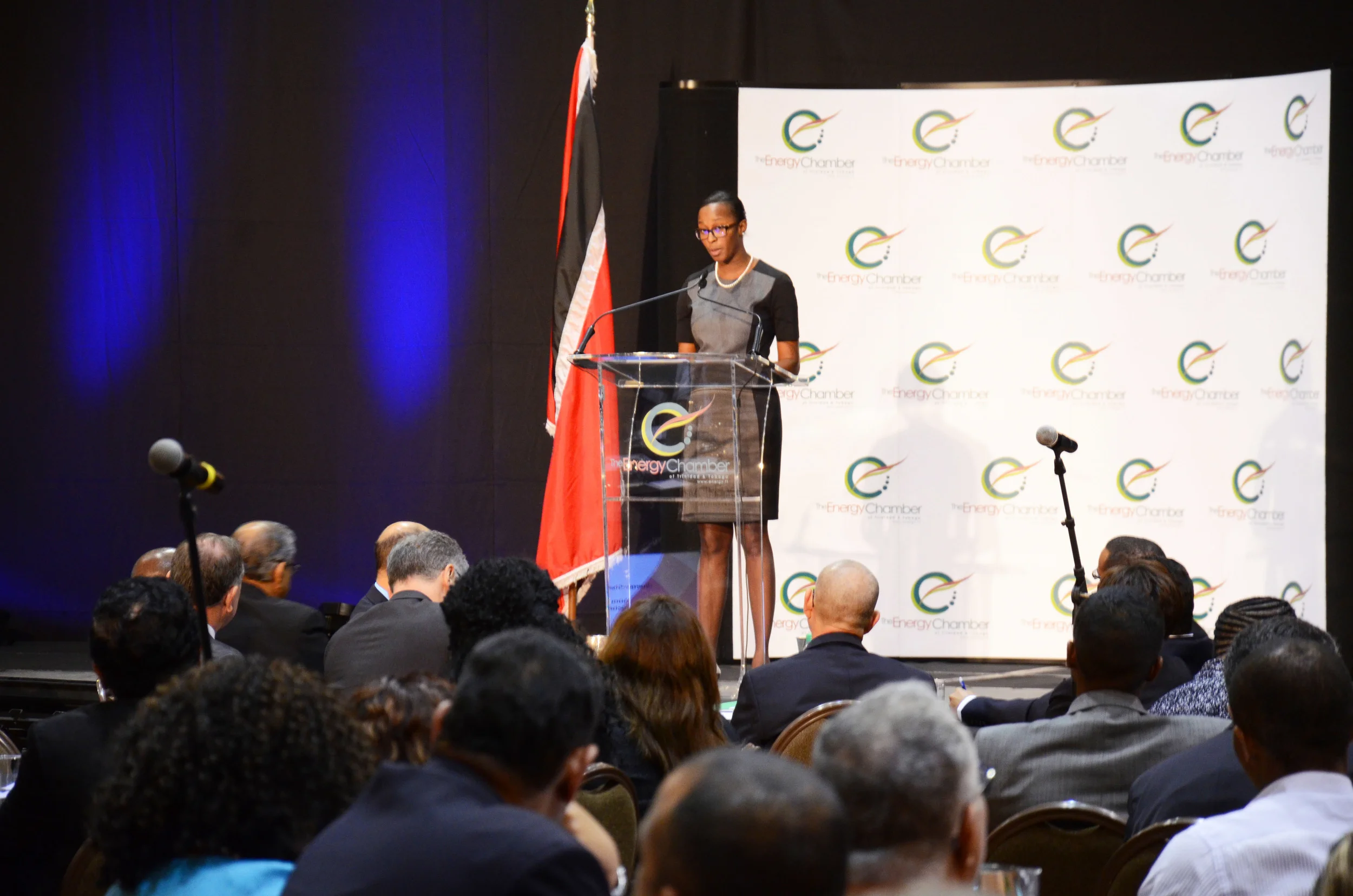 Investment decisions needed to increase gas production