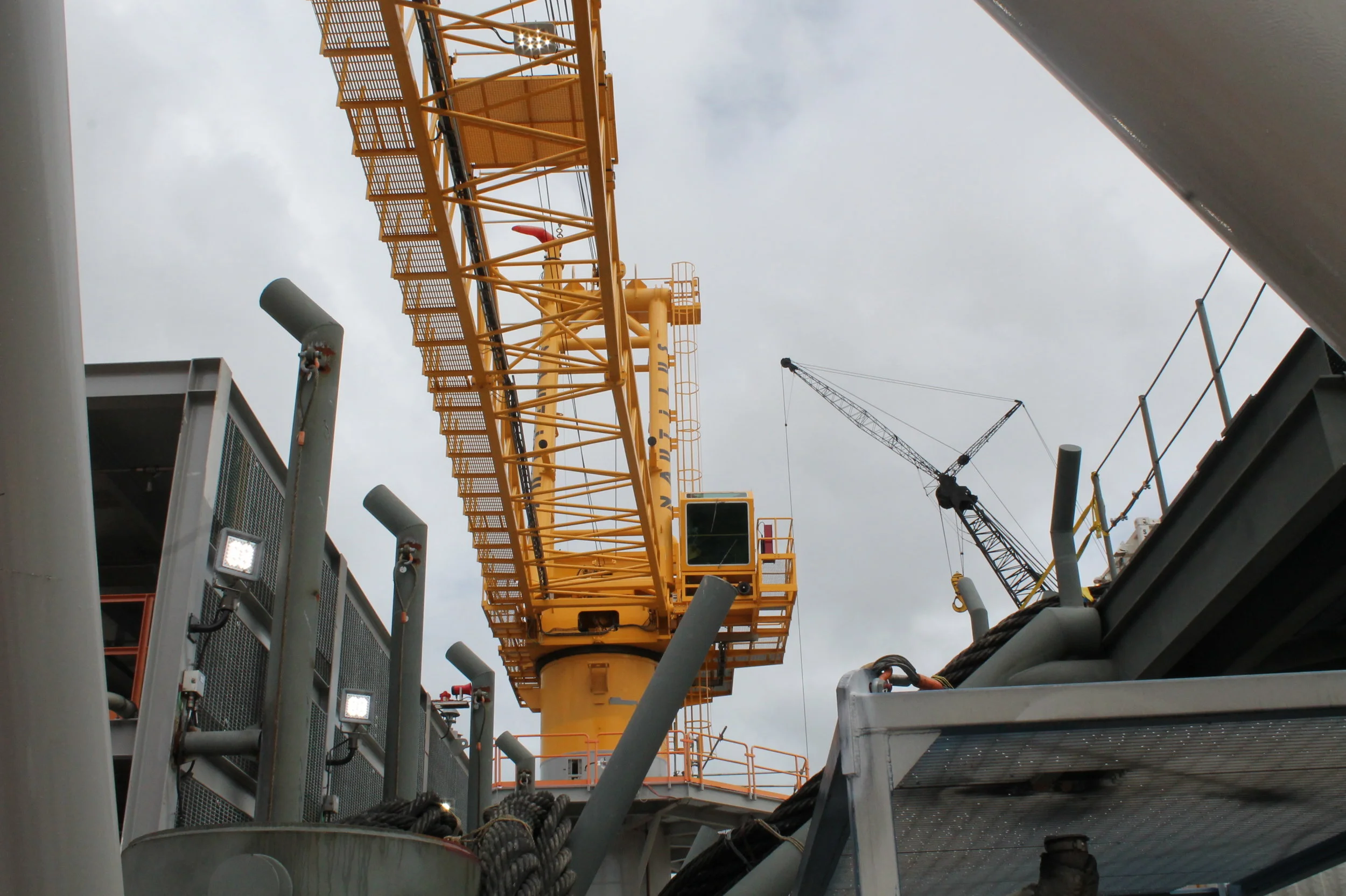 Scaffolding Training