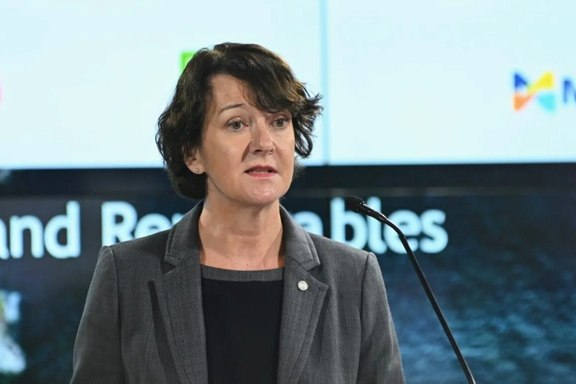 Claire Fitzpatrick's remarks at the Energy Efficiency and Renewables Conference