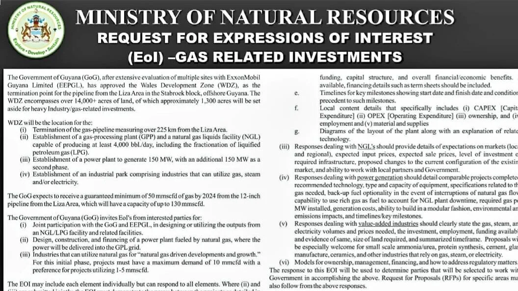 EOI - Gas Related Investments (Ministry of Natural Resources - Guyana)