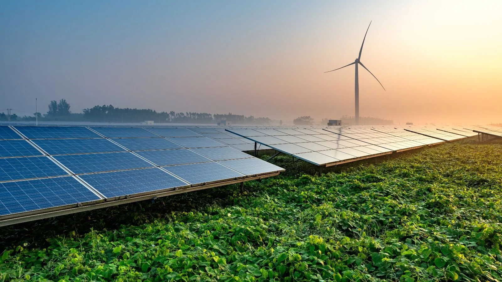 Will US clean energy subsidy roll backs create opportunities in the Caribbean?