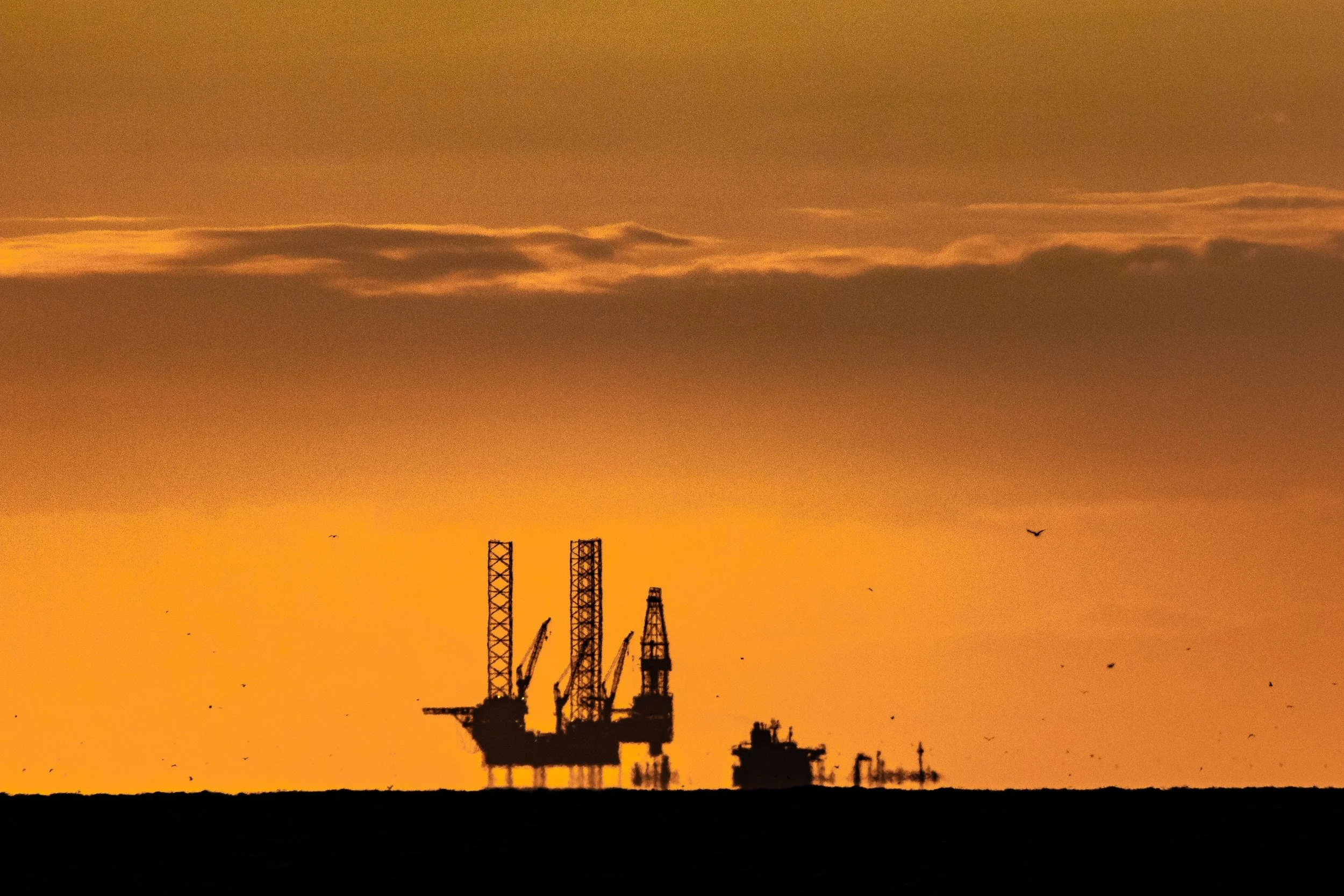 OPEC cuts 2026 oil demand growth forecast as market absorbs impact of Iran conflict 